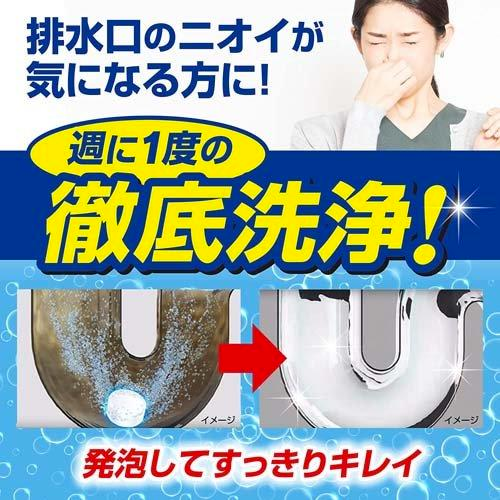 KOBAYASHI DRAIN CLEANER peach 12 PIECES