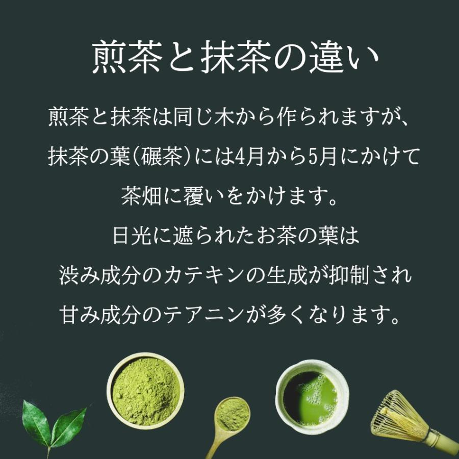 Kagoshima Matcha Powder 30g