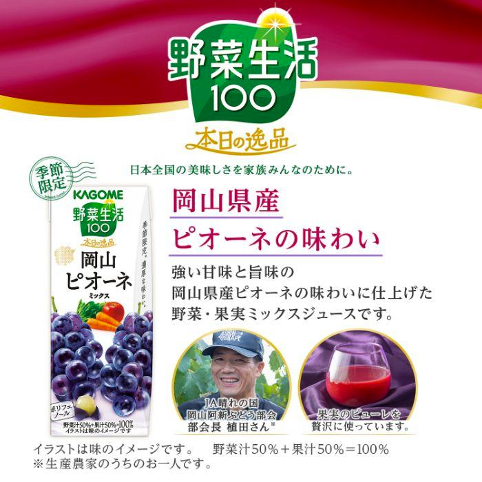 KAGOME Limited Okayama Fruit Mix Juice 195ml