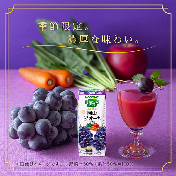 KAGOME Limited Okayama Fruit Mix Juice 195ml