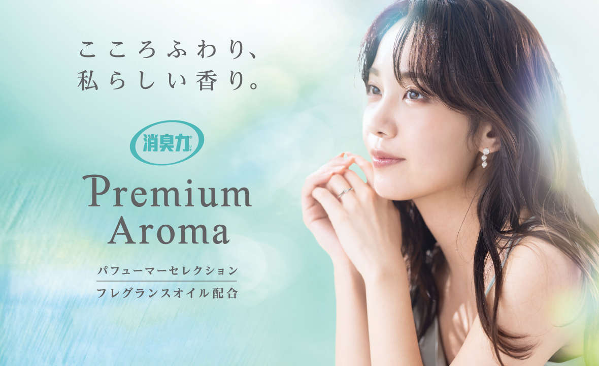 ST Premium Aroma Deodorizer Eternal Gift 400ml