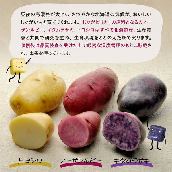 Calbee Jagariko Potato Sticks 18g × 10pcs