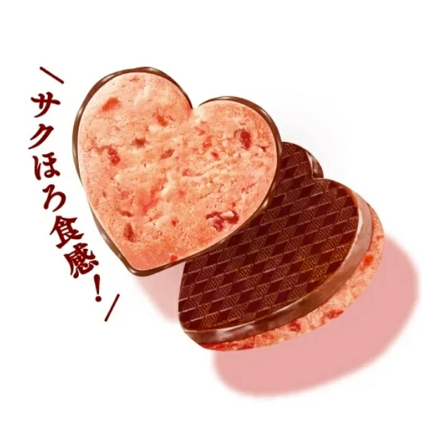 Fujiya Sandwich Cookies Strawberry Chocolate 9pcs