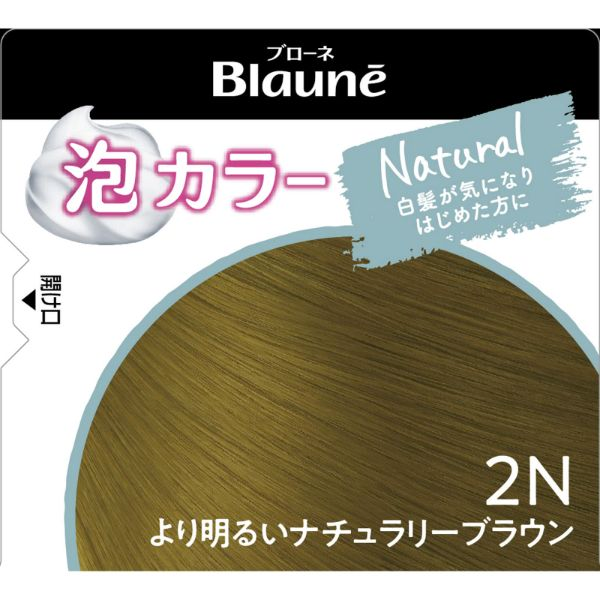 Kao Brand Foam Color 2N Mocha Brown 108ml