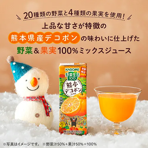 KAGOME Limited Kumamoto Mandarin Mix Juice 195ml