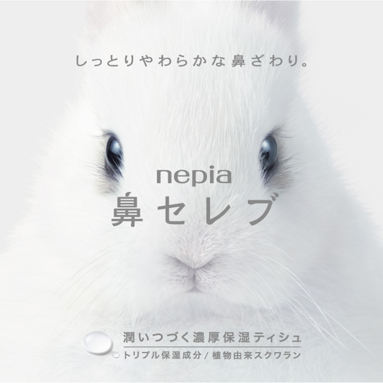 Nepia Hana Nose Celeb Pocket Tissue 2-ply 12 sheets x 16 pcs