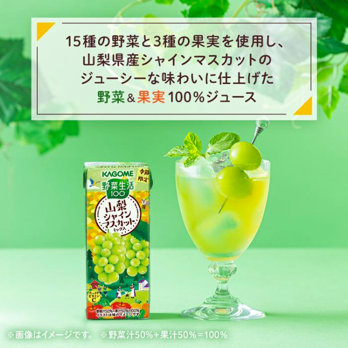 Kagome Vegetable Life Muscat grapes and Vegetable Mix Juice 195ml