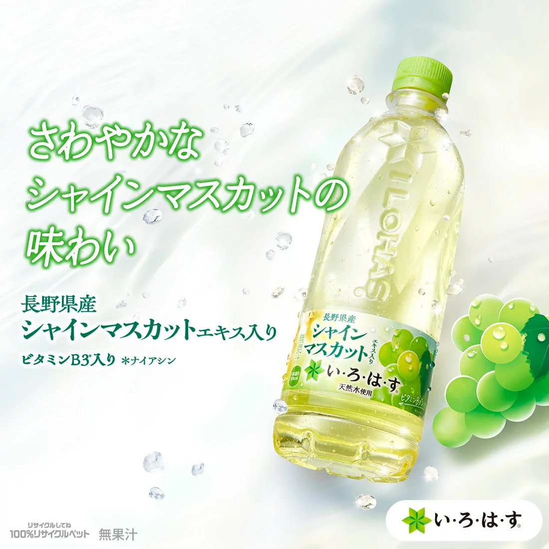 Coca Cola I LOHAS Shine Muscat 540ml