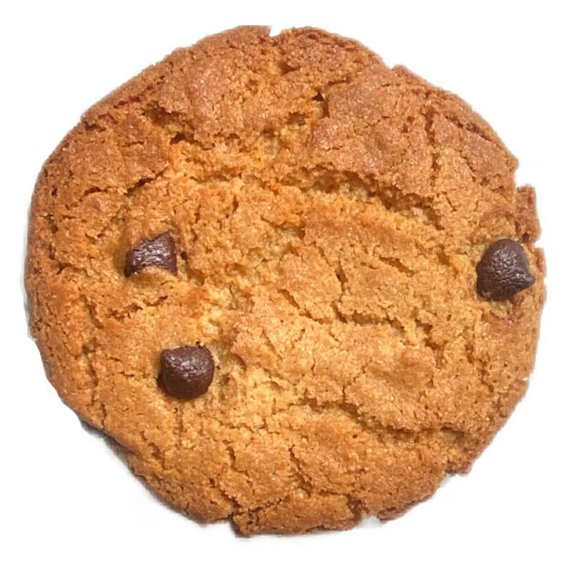 Ito Seika Biscuits Chocolate Flavor 15pcs