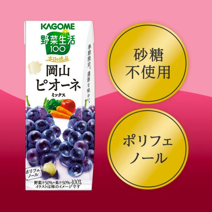 KAGOME Limited Okayama Fruit Mix Juice 195ml