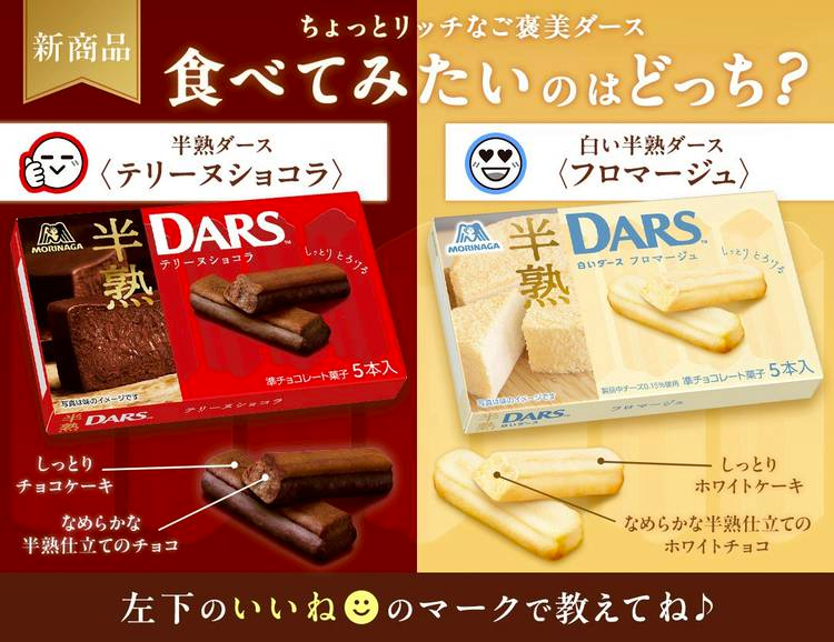 Morinaga Half Baked Cakes Chocolate Flavor 5Pcs