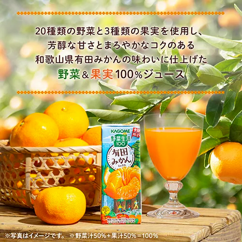 KAGOME Limited Arita Mandarin Orange Mix Juice 200ml