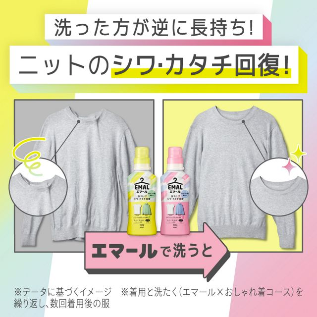 KAO Emal Delicate Care Laundry Detergent Aromatic Bouquet Scent 460g