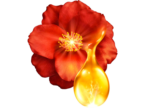 Tsubaki Premium EX Damage Care & Repair Shampoo & Treatment Pump Pair Set 400ml + 400g