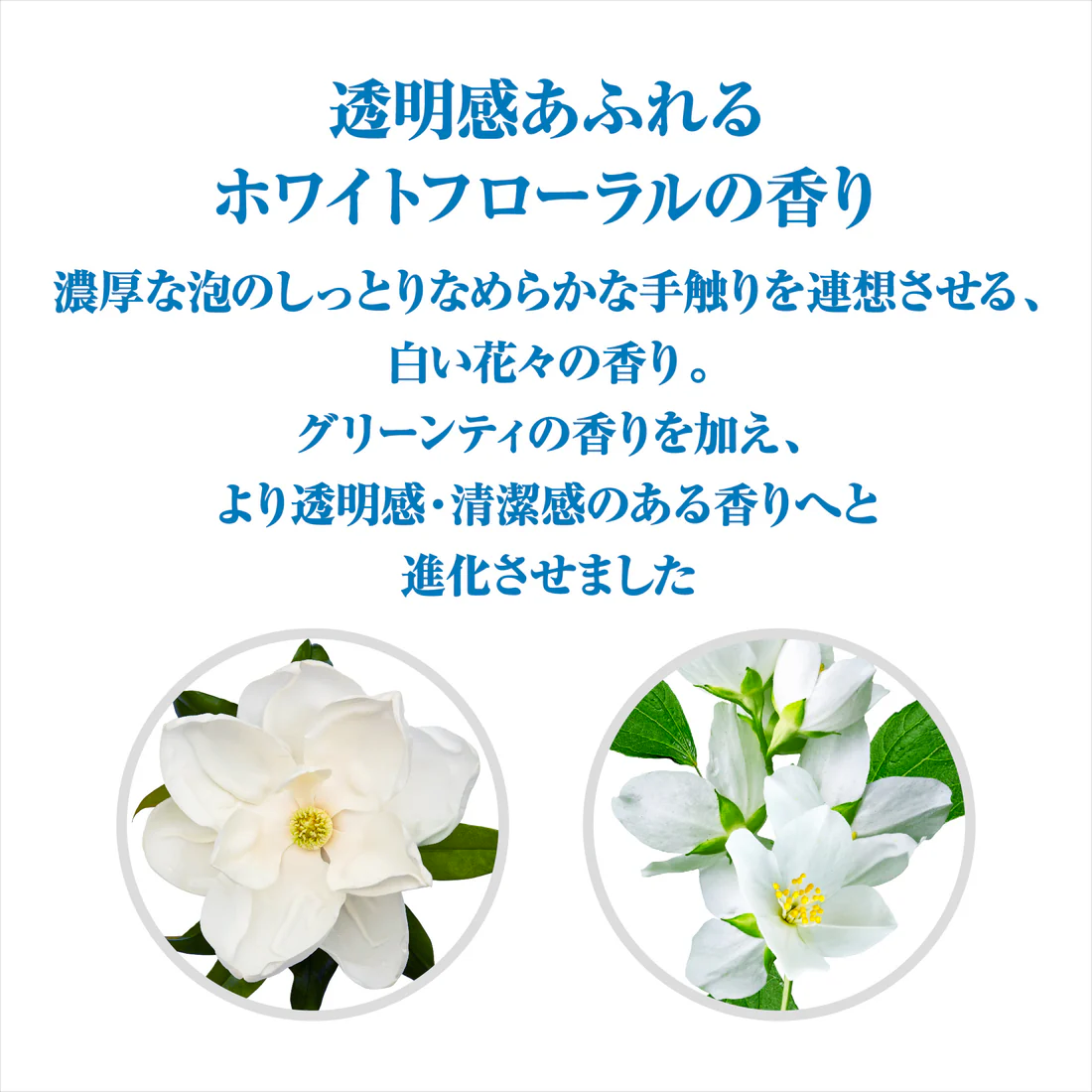 Shiseido Senka Perfect Whip Beauty Foam Speedy 150ml