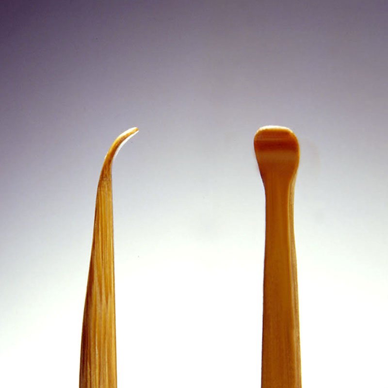 Green Bell G-2154 Premium Bamboo Ear Pick with Case