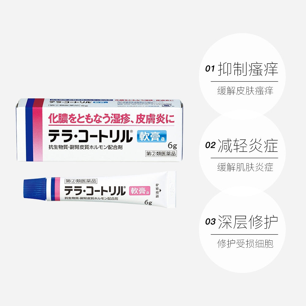 Takeda CH Terra Coatril Ointment a 6g